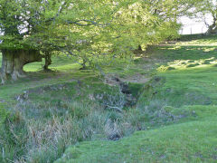 Hafod Arthen Colliery level, May 2013